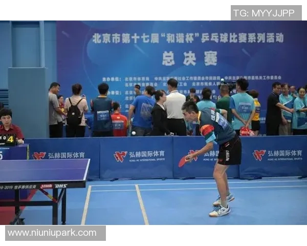 北京乒乓球队转型之路联合会杯特别报道揭示新战略与挑战