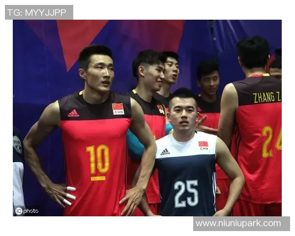 国内足球明星男排的名字与他们的运动成就及影响力分析